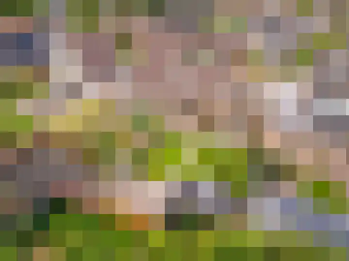 De Goorns 17 Wijster thumbnail 44