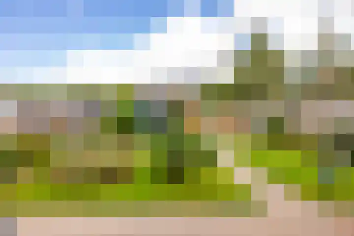 De Goorns 17 Wijster thumbnail 45