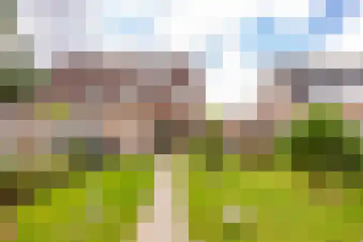 De Goorns 17 Wijster thumbnail 46