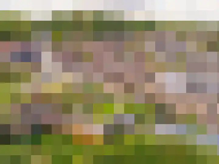 De Goorns 17 Wijster thumbnail 52