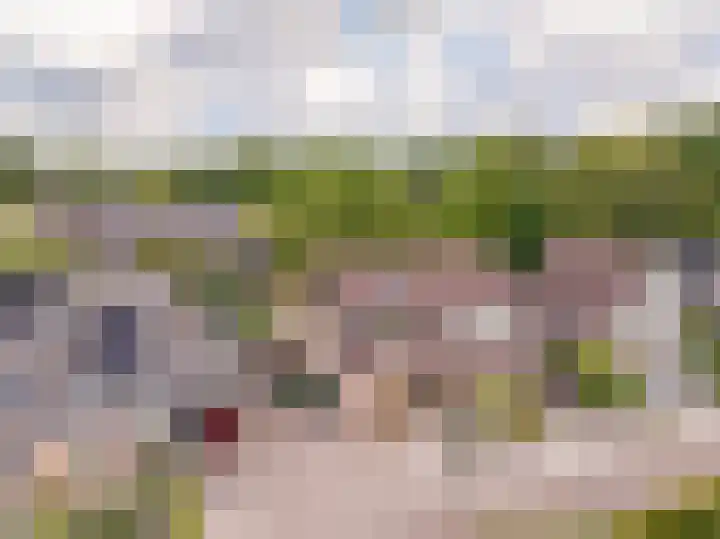 De Goorns 17 Wijster thumbnail 53