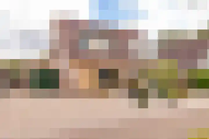 De Goorns 17 Wijster thumbnail 55