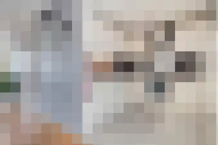 De Goorns 20 Wijster thumbnail 15