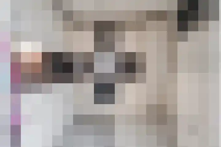 De Goorns 20 Wijster thumbnail 16