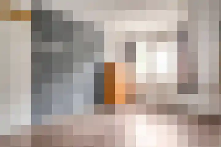 De Goorns 20 Wijster thumbnail 23