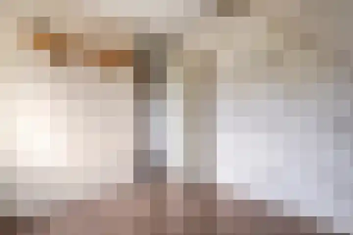 De Goorns 20 Wijster thumbnail 26