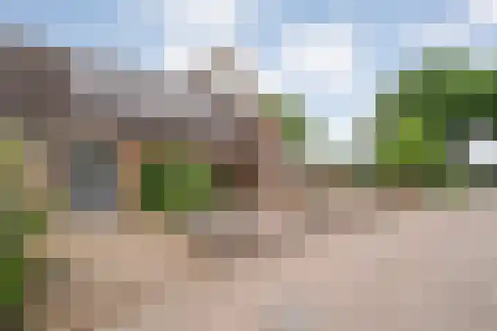 De Goorns 20 Wijster thumbnail 4