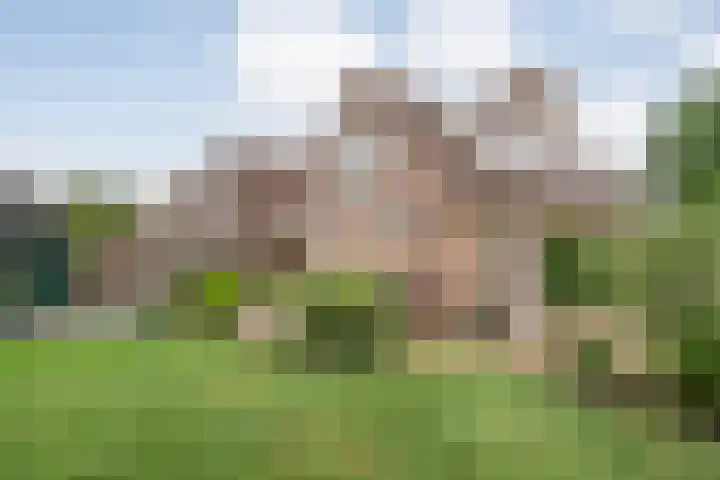 De Goorns 20 Wijster thumbnail 40