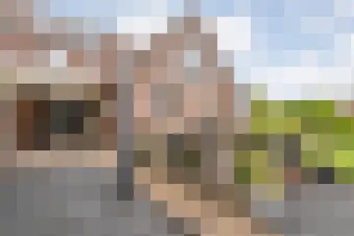 De Goorns 20 Wijster thumbnail 41