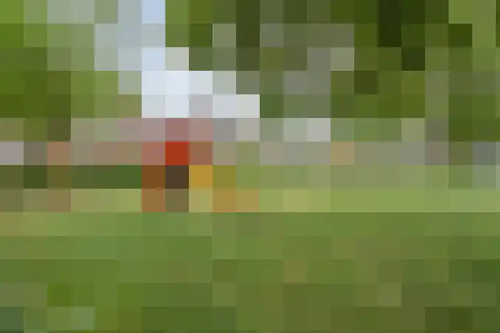 De Goorns 20 Wijster thumbnail 42