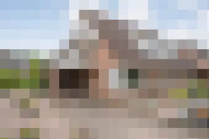 De Goorns 20 Wijster thumbnail 47