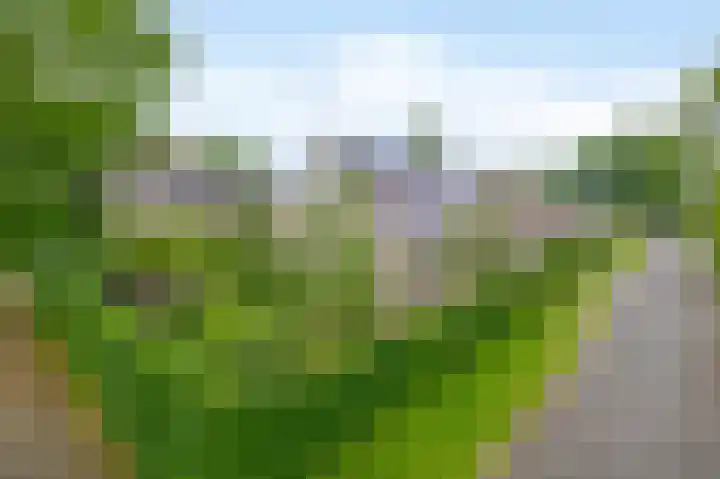 De Goorns 6 in Vledder