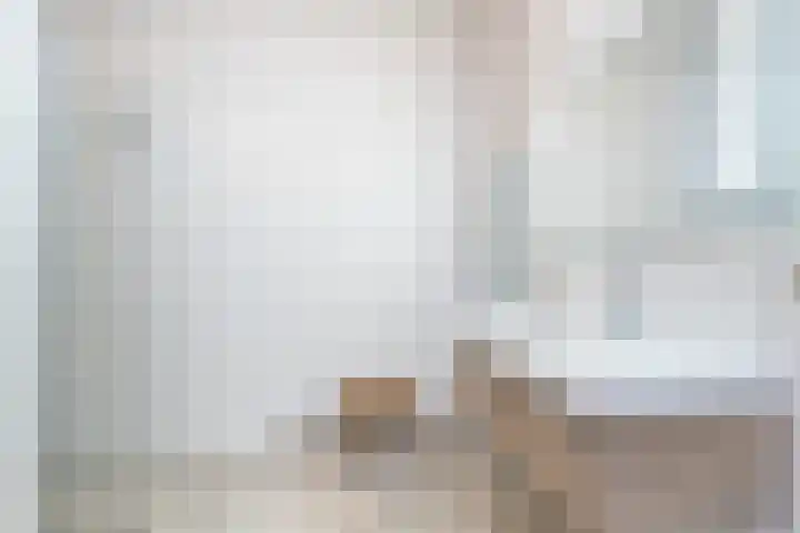 De Goorns 6 Vledder thumbnail 12