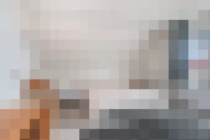 De Goorns 6 Vledder thumbnail 17