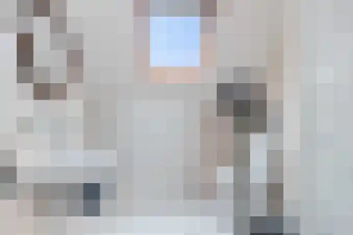 De Goorns 6 Vledder thumbnail 18