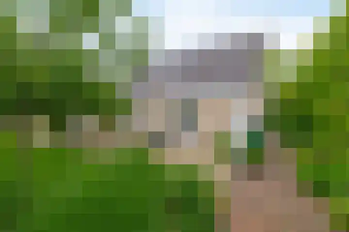De Goorns 6 Vledder thumbnail 26