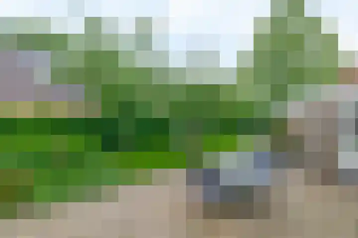 De Goorns 6 Vledder thumbnail 28