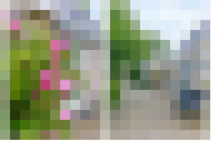 De Goorns 6 Vledder thumbnail 29