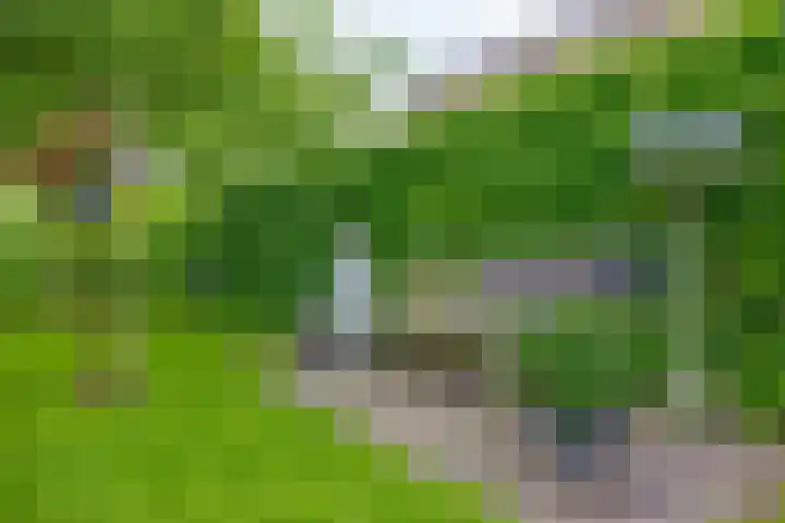De Goorns 6 Vledder thumbnail 31