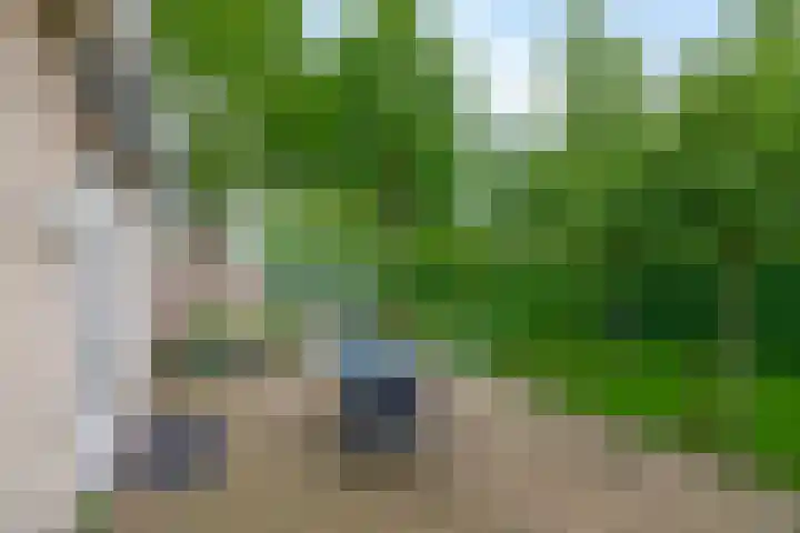 De Goorns 6 Vledder thumbnail 32