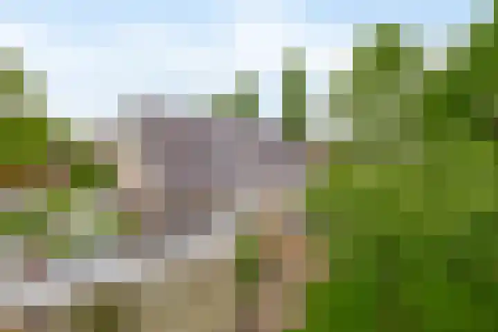 De Goorns 6 Vledder thumbnail 34