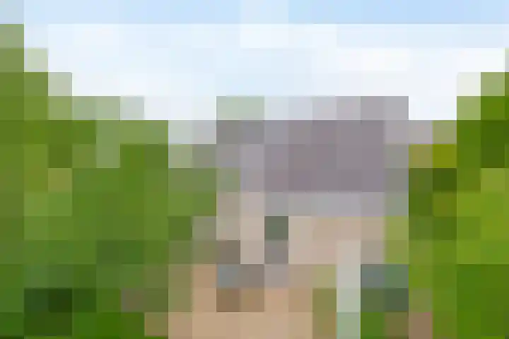 De Goorns 6 Vledder thumbnail 35