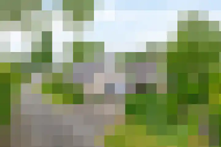De Goorns 6 Vledder thumbnail 37