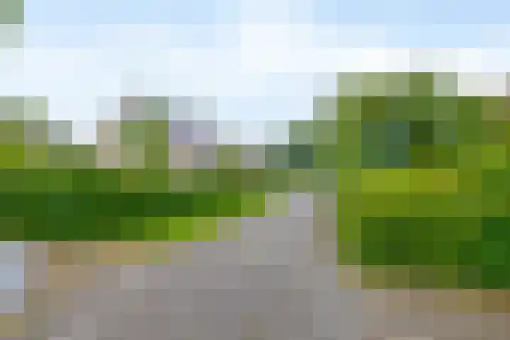 De Goorns 6 Vledder thumbnail 38