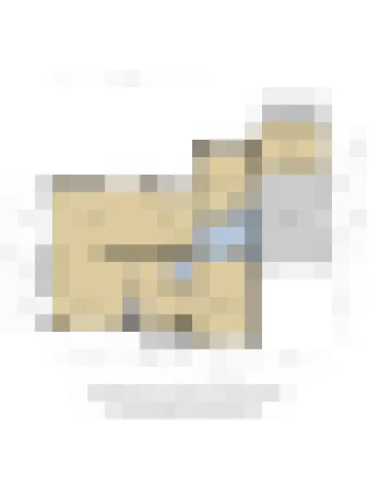 De Goorns 6 Vledder thumbnail 42