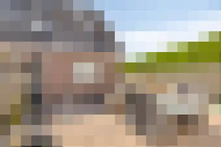 De Goorns 9 Wijster thumbnail 29