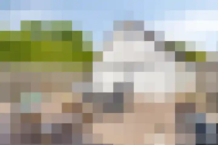 De Goorns 9 Wijster thumbnail 30