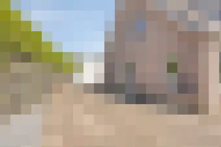 De Goorns 9 Wijster thumbnail 35