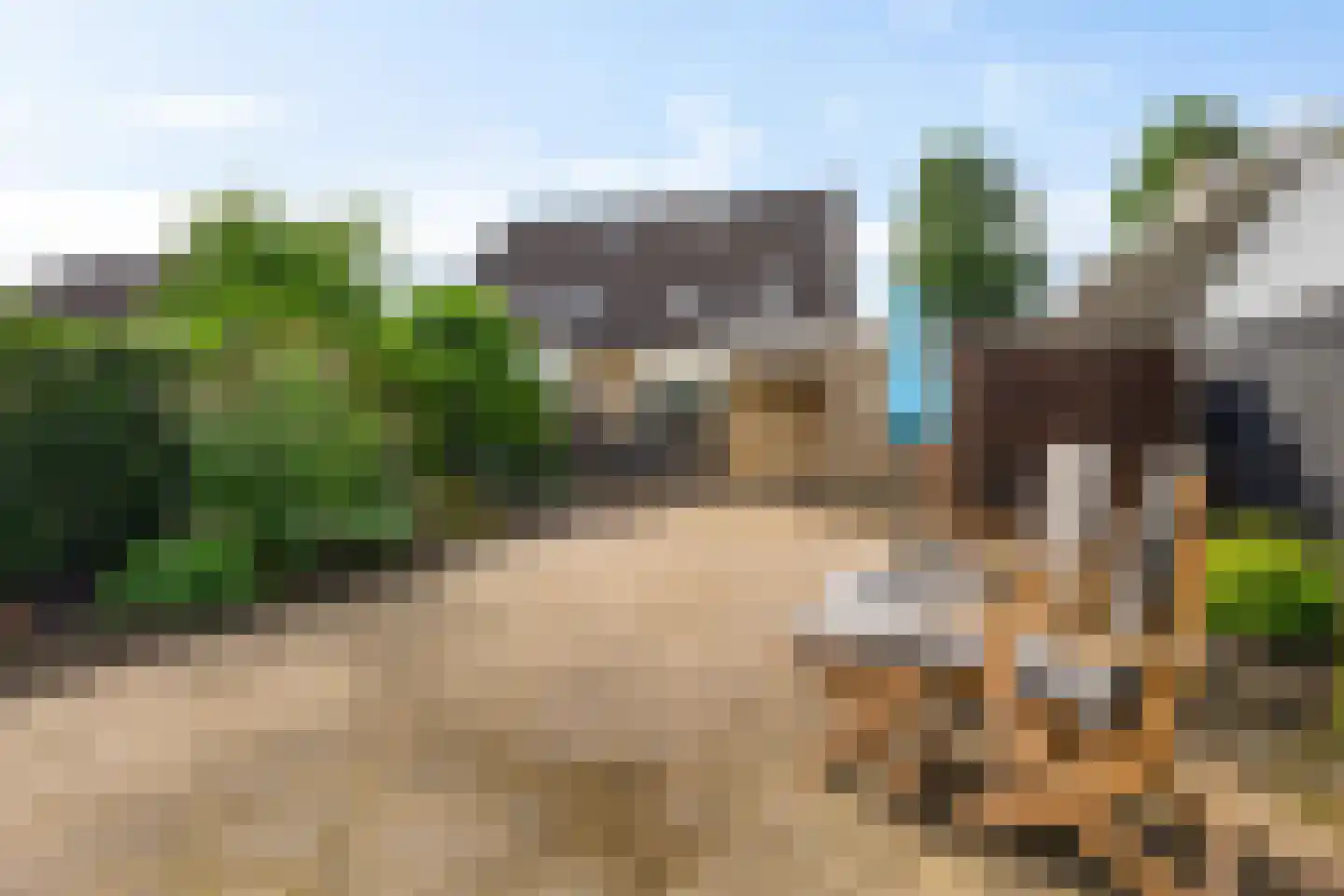 De Gording 29 Zuidlaren thumbnail 33
