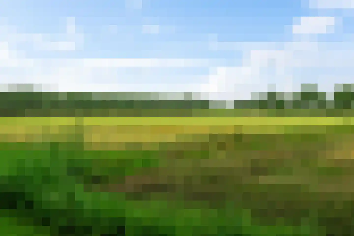 De Gording 29 Zuidlaren thumbnail 37