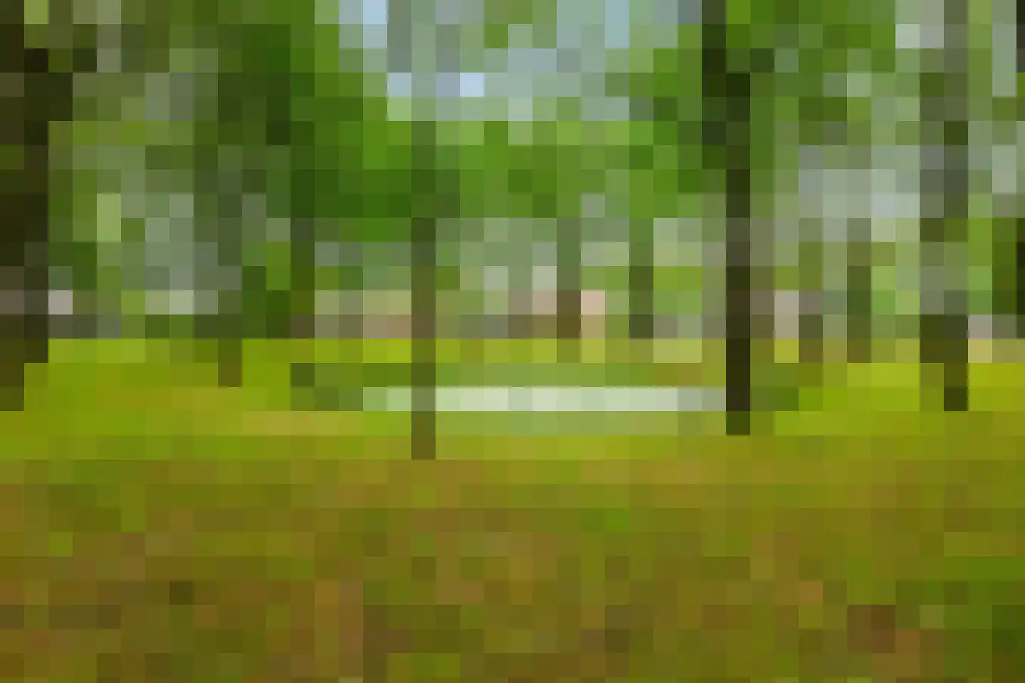 De Gording 29 Zuidlaren thumbnail 38