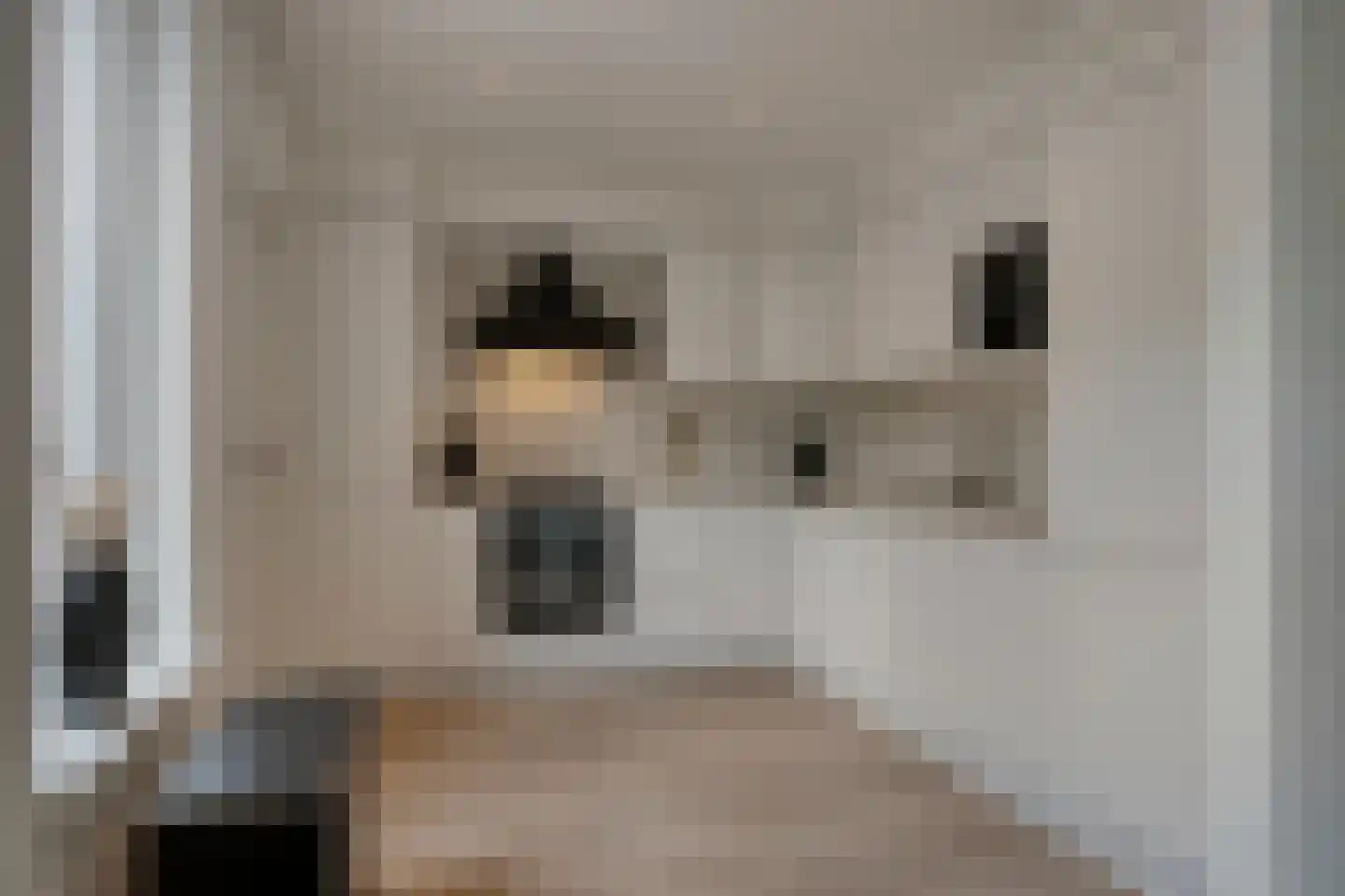de Gorn 13 Tolbert thumbnail 14