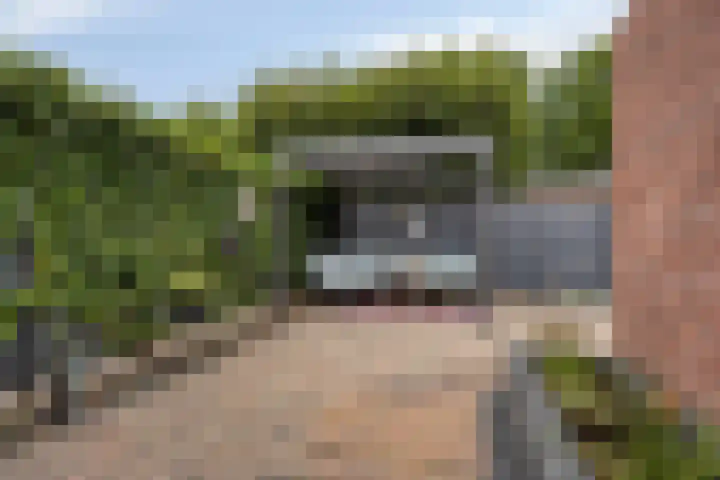 de Gorn 13 Tolbert thumbnail 29