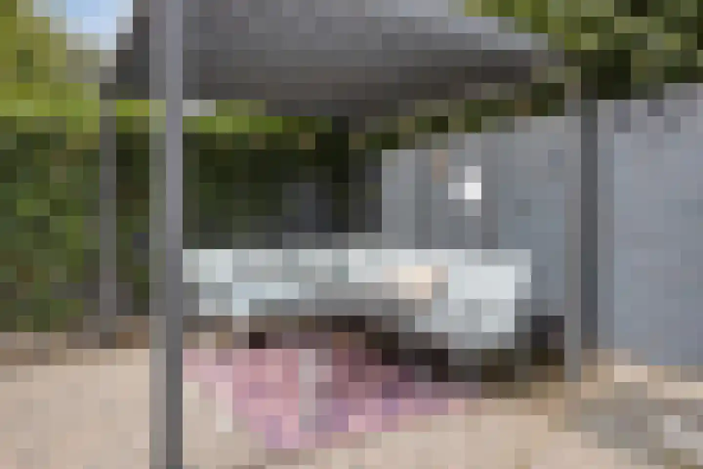 de Gorn 13 Tolbert thumbnail 31