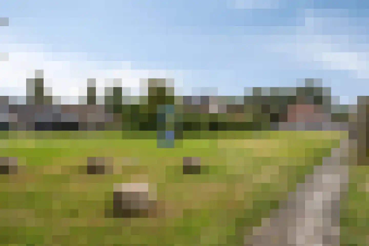 de Gorn 13 Tolbert thumbnail 36
