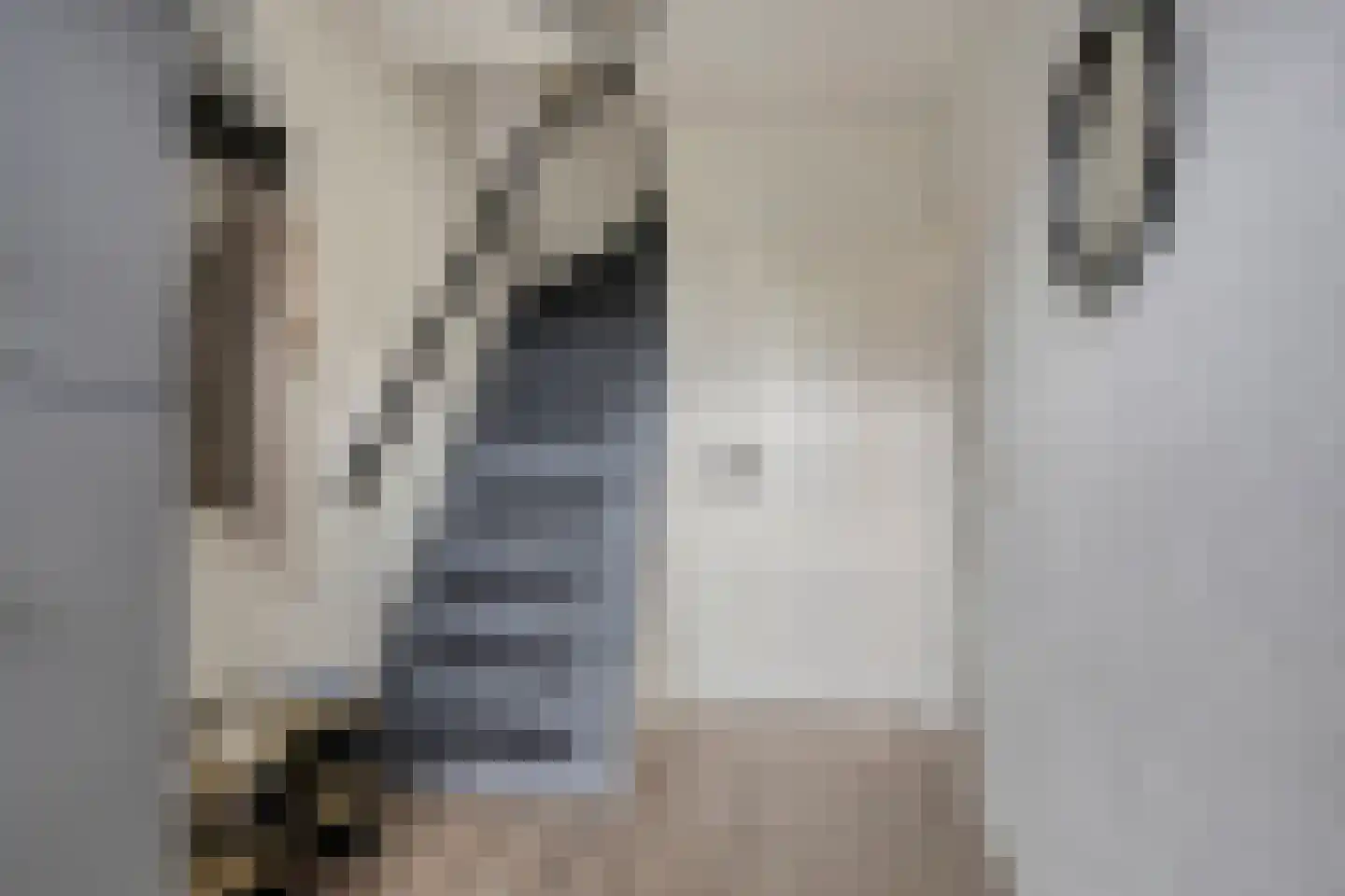 de Gorn 13 Tolbert thumbnail 6
