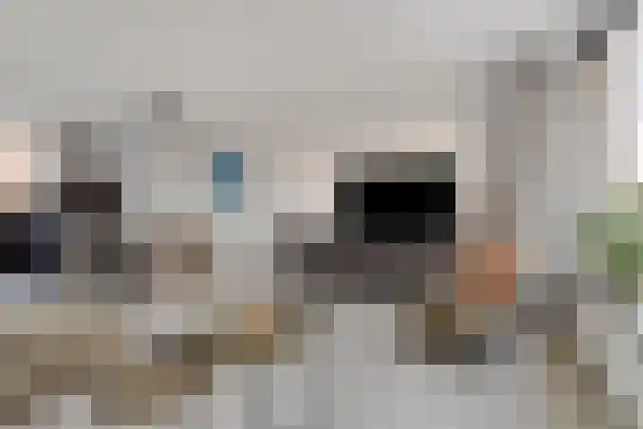 de Gorn 5 Tolbert thumbnail 11
