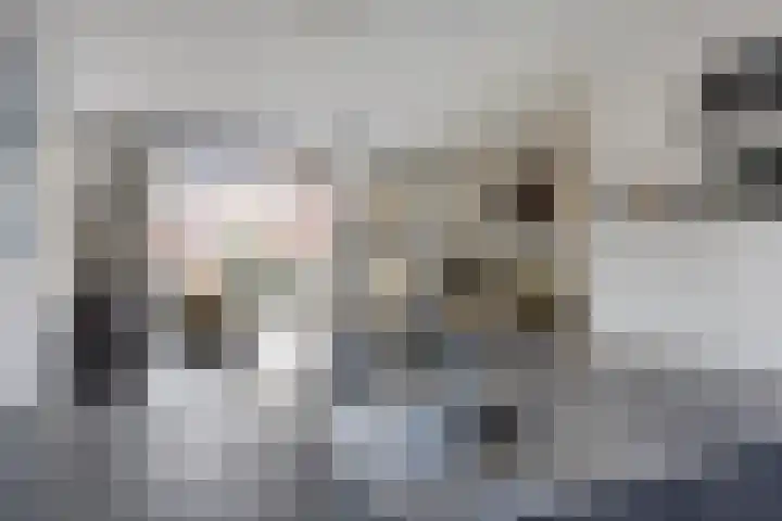de Gorn 5 Tolbert thumbnail 15