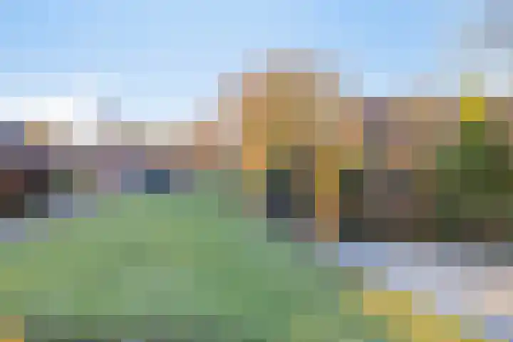 de Gorn 5 Tolbert thumbnail 36