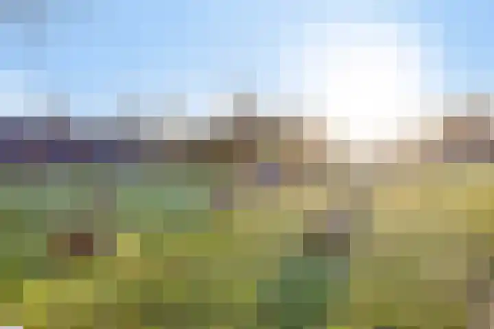 de Gorn 5 Tolbert thumbnail 39
