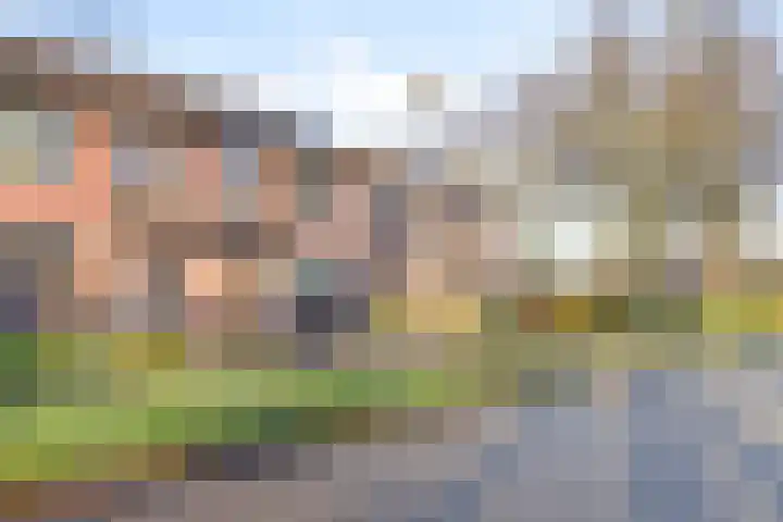 de Gorn 5 Tolbert thumbnail 4