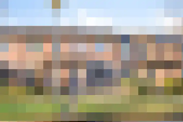 de Gorn 5 Tolbert thumbnail 5