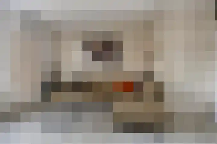 de Gorn 5 Tolbert thumbnail 7