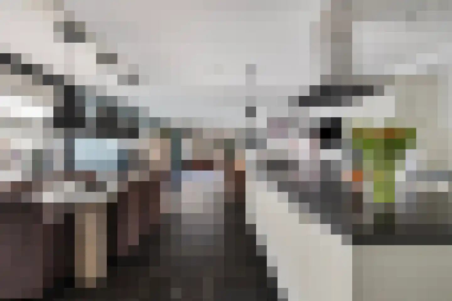 De Gors 1 Heerjansdam thumbnail 10