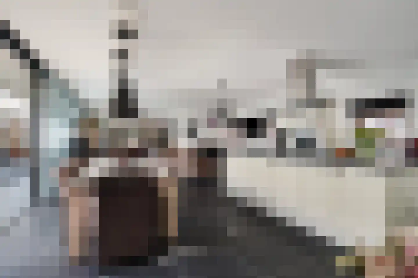 De Gors 1 Heerjansdam thumbnail 11