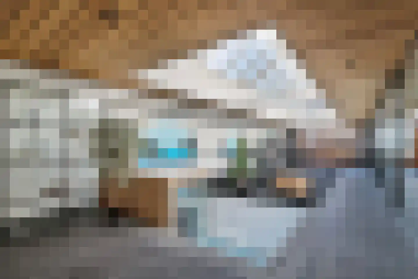 De Gors 1 Heerjansdam thumbnail 15